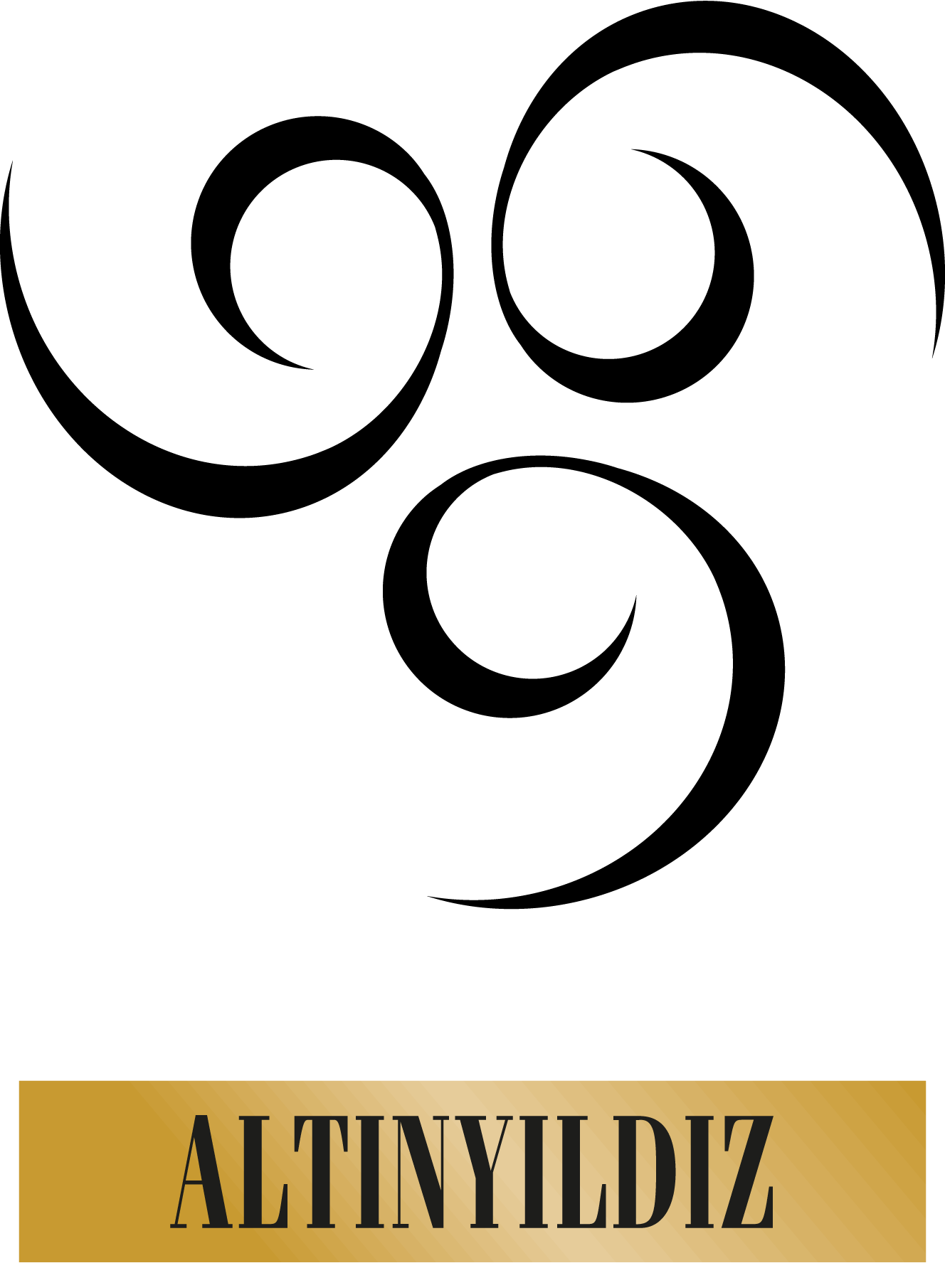 5Th-ElementAltinyildiz-logo-png