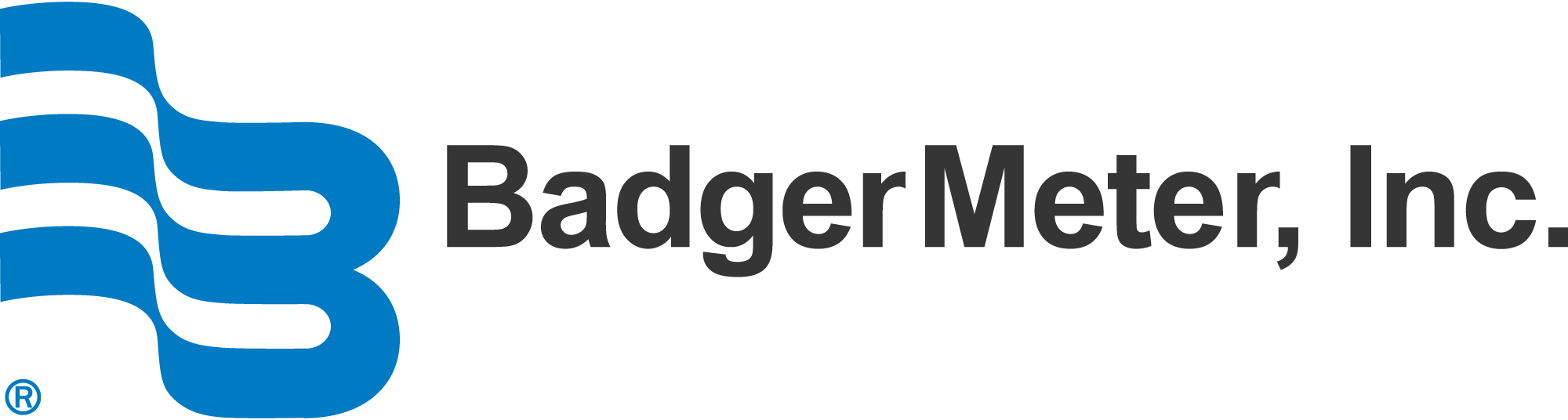 Badger-Meter-logo-png