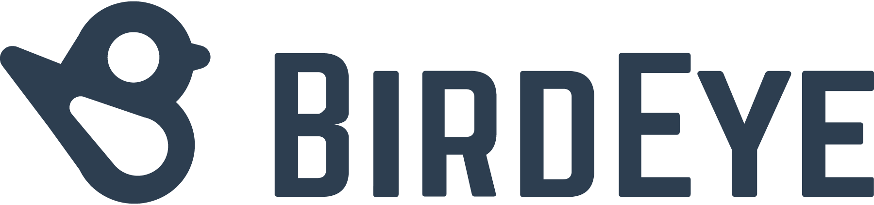 Birdeye-logo-png