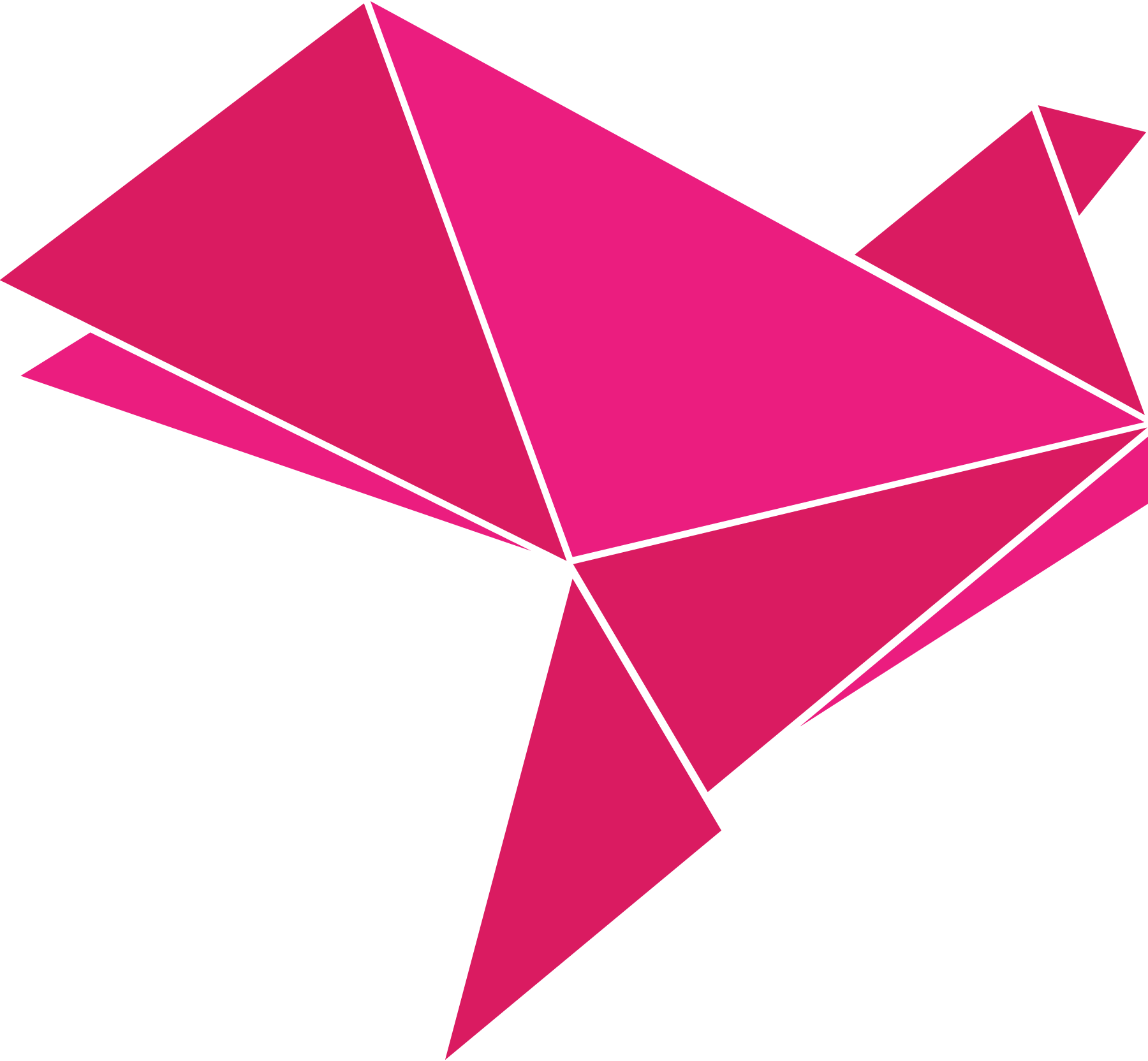 Bkash-Pink-Icon-logo-png