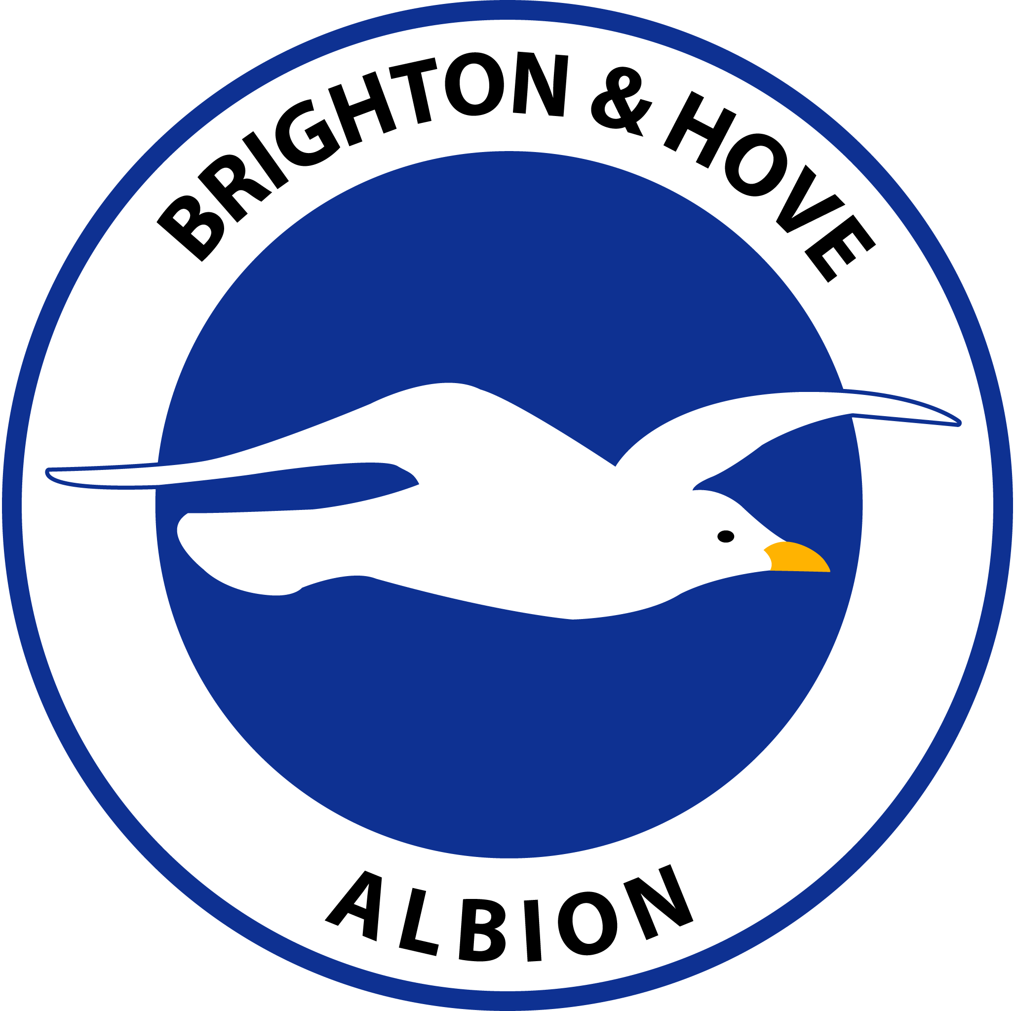 Brighton-&-Hove-Albion-F.C.-logo-png