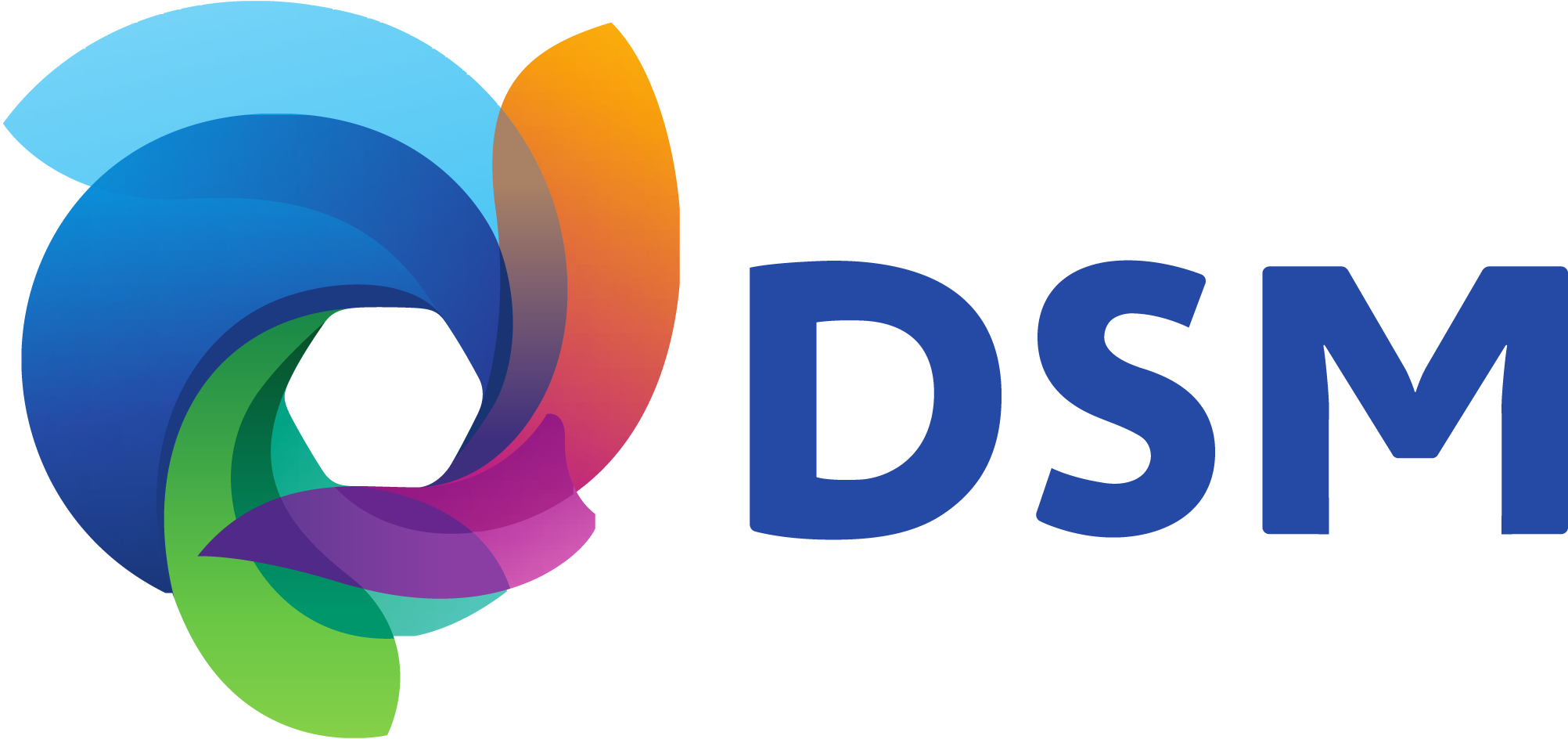 DSM-New-logo-png