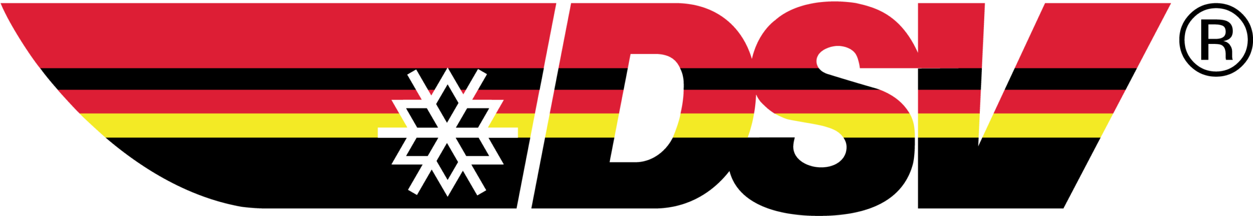 Dsv-Deutscher-Skiverband-logo-png