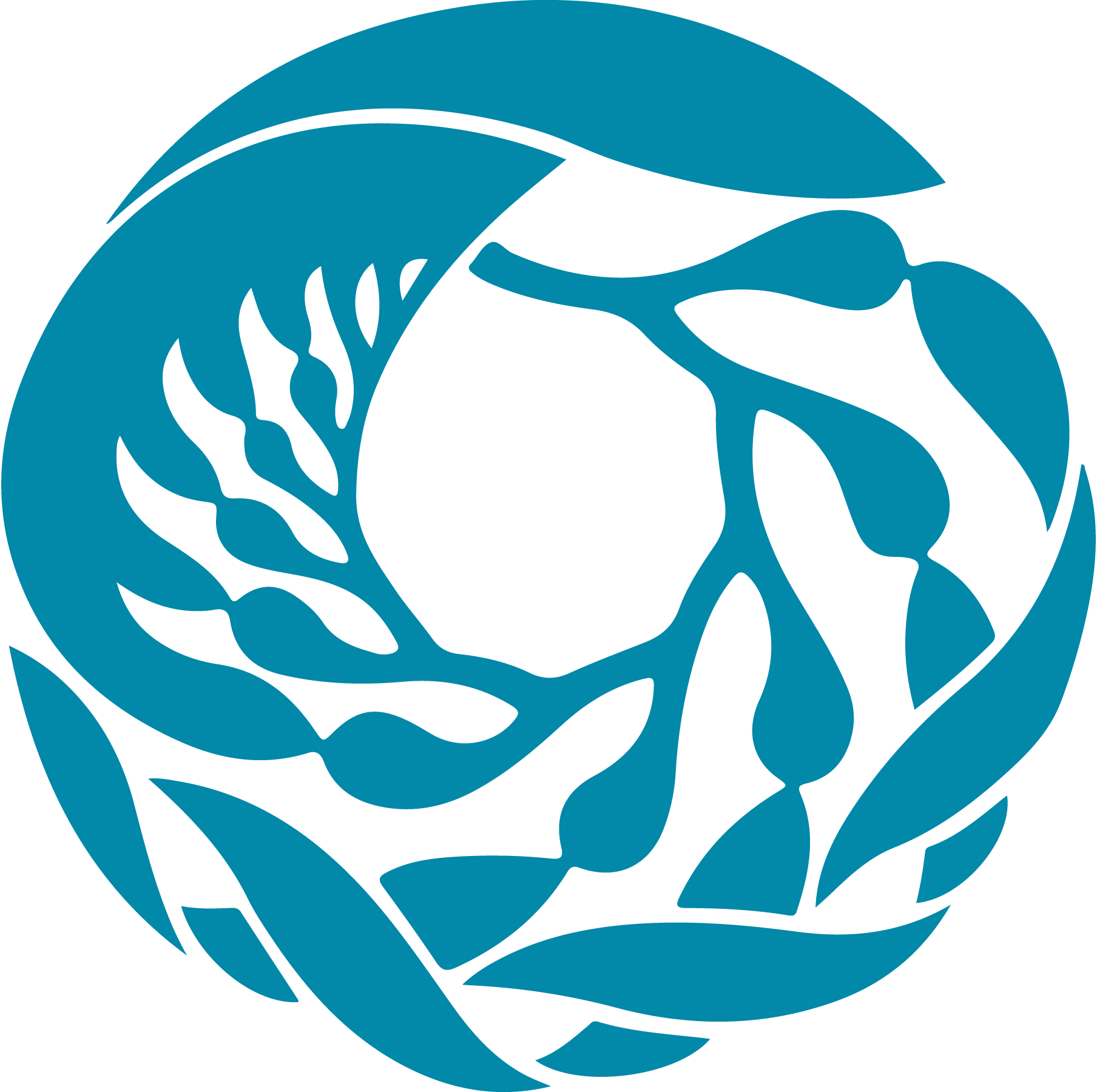Monterey-Bay-Aquarium-Icon-logo-png