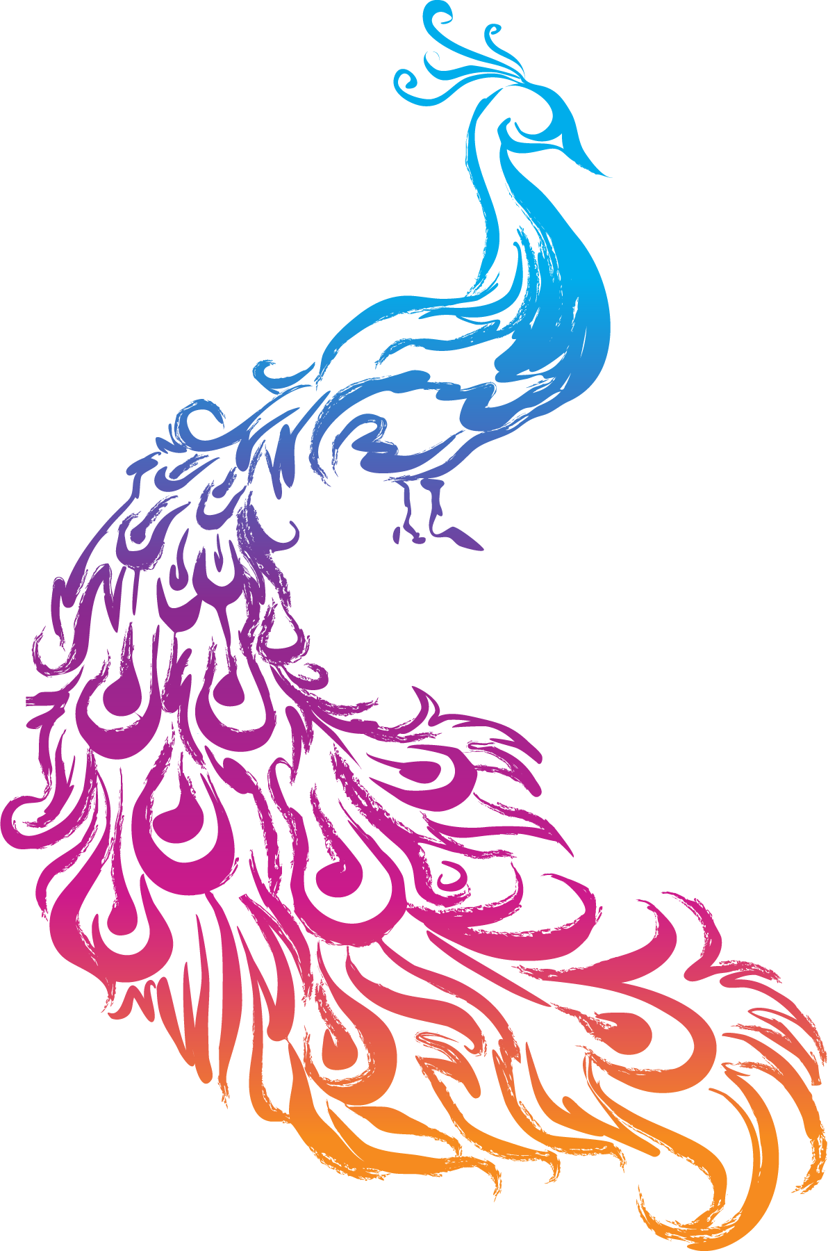 Peacock-logo-png