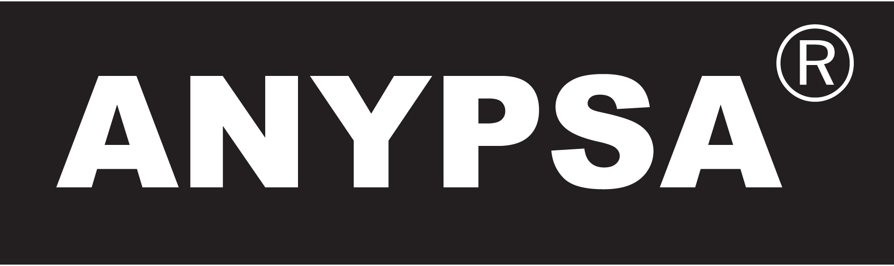 Pinturas-ANYPSA-logo-png
