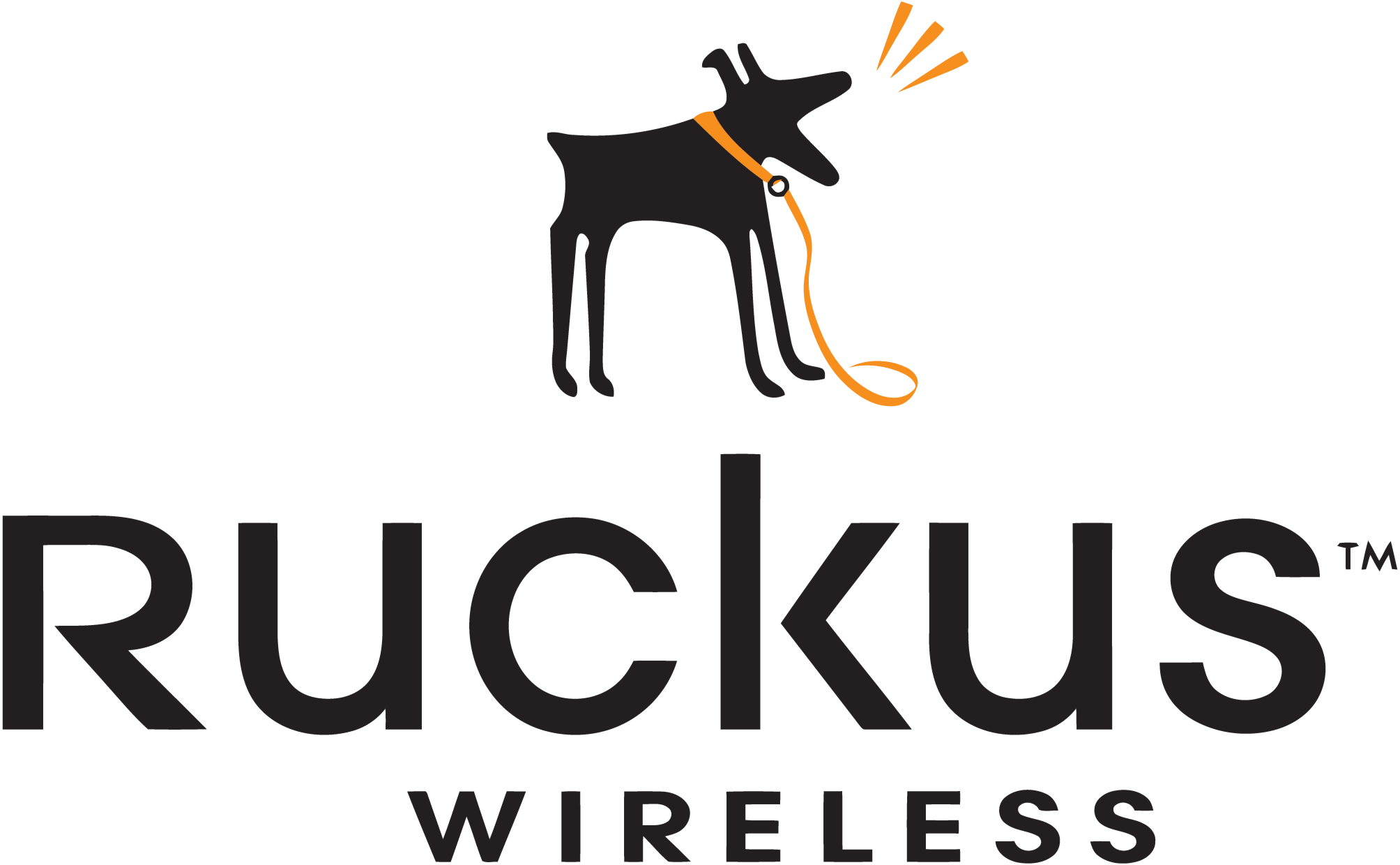 Ruckus-Wireless-logo-png