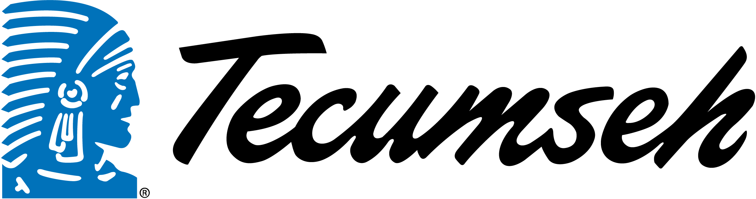 tecumseh-products-company-logo-png